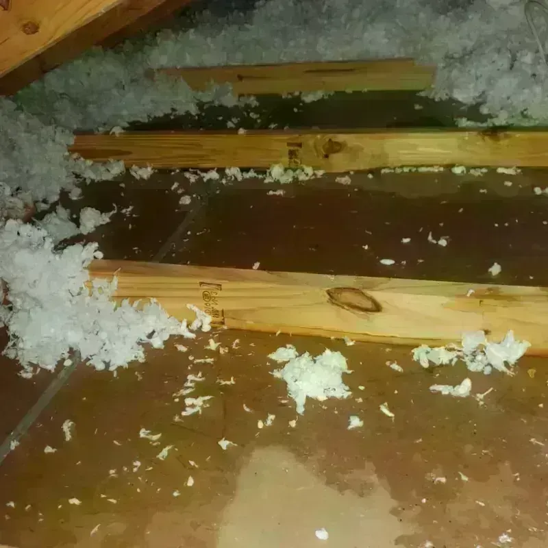 Attic Water Damage in Alton, IA